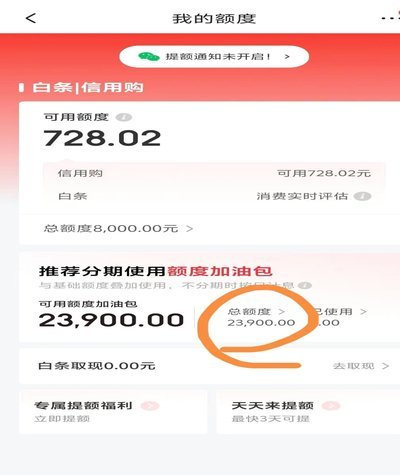 白条取现怎么取不了呀