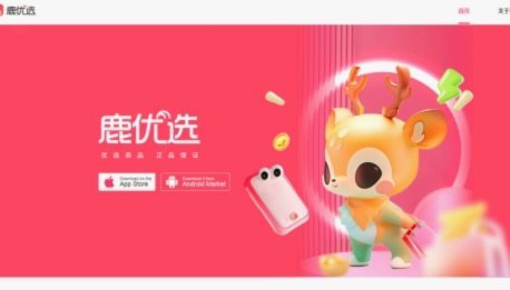 2025总结五个办法:鹿优选先享卡包弄出多久到账(老手必看)