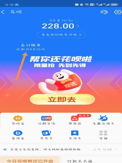 怎么套用花呗的钱