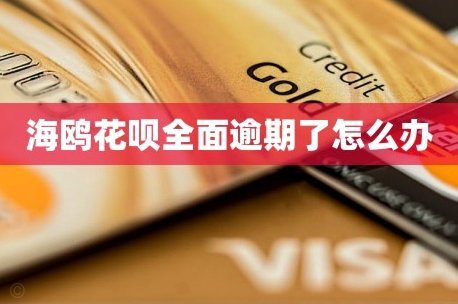 海鸥借款还款方式全解析