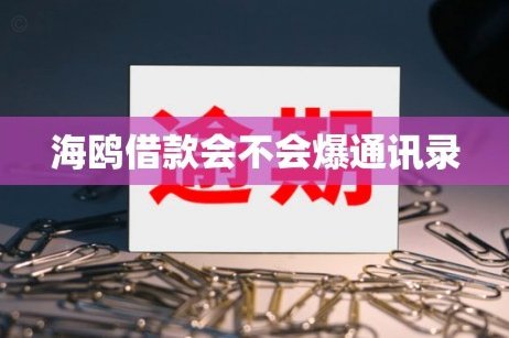 海鸥借款平台怎么还