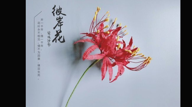 拿去花卡可以提现吗 现在怎么办