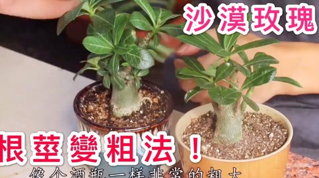 拿去花卡可以提现吗 现在怎么办