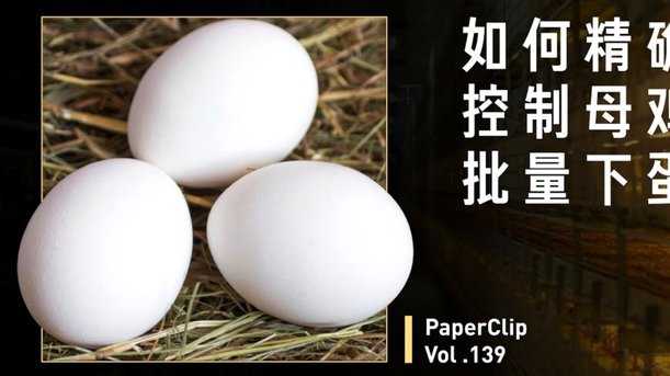 羊小咩便利卡包额度怎么提现