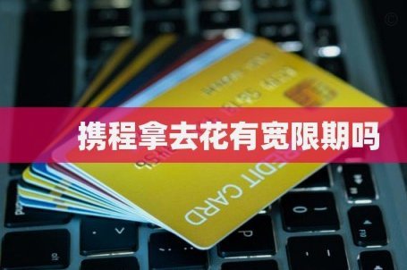 携程拿去花怎么用支付宝还款