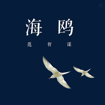 海鸥花呗平台 怎么还款