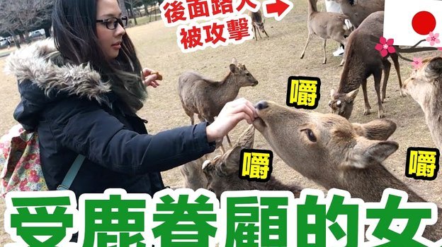 2025鹿优选额度怎么套出来