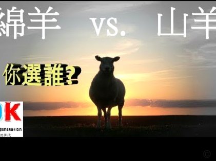 羊小咩取现额度提现中
