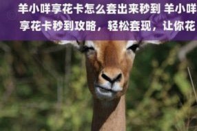 深度解析：享花卡套现的快速便利与潜在风险