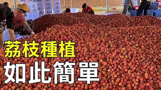 便荔卡包7000套现到手多少