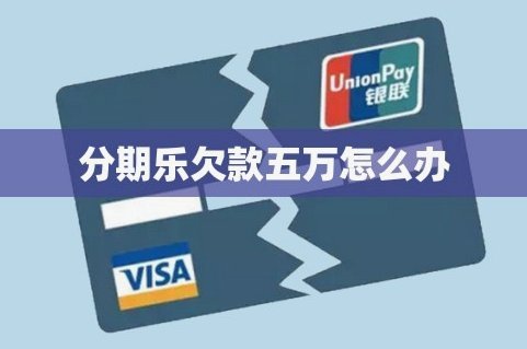 分期乐总欠款查询指南