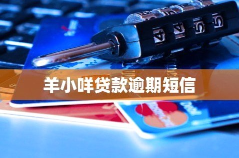 羊小咩逾期：不止是违约