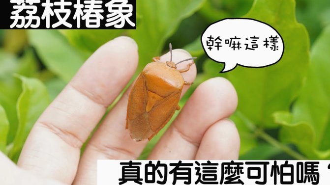 便荔卡包套现不还行吗?
