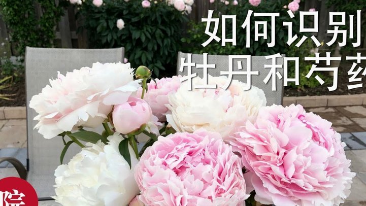 花呗秒套平台怎么样 套现的