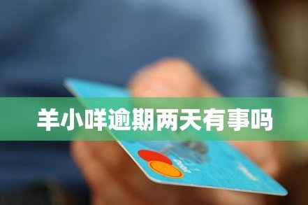 羊小咩怎么贷款流程