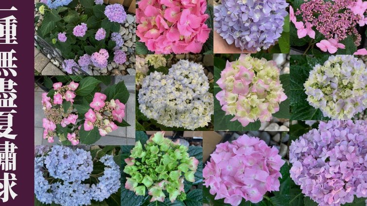 如何花呗套花呗