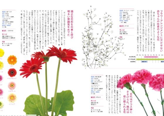分期乐：消费升级下的新格局