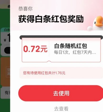 京东白条秒到：便捷支付新体验