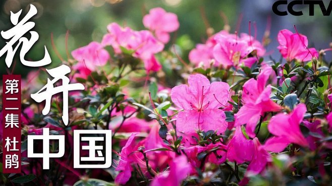 寻找花呗套现软件风险大warn