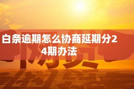 白条平台协商延期无果怎么办