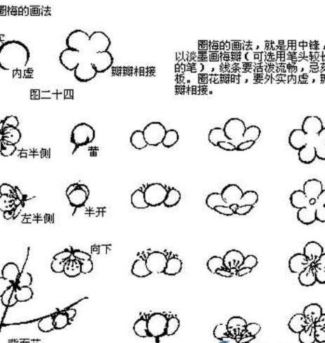 花呗套贴吧 现金违法吗