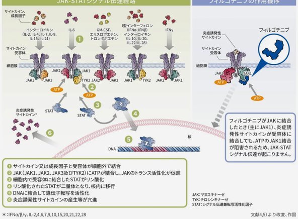 白条取现最多能提多少？额度由这些因素决定