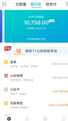 白条额度到底怎么用？资深攻略帮你避开陷阱