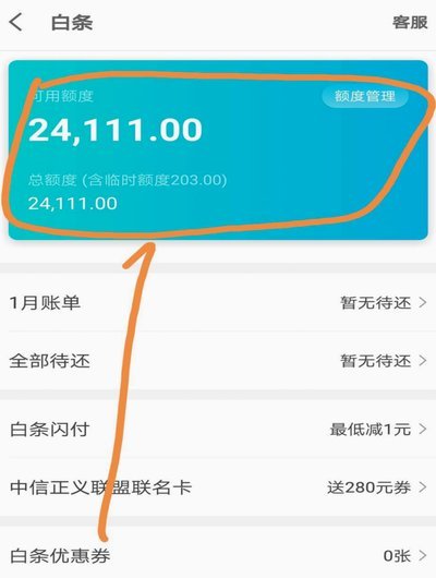 白条上面的额度怎么用