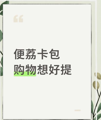 便荔卡包怎么看资方