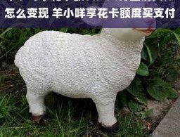 羊小咩为何仅有消费额度？