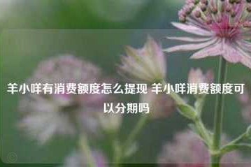 羊小咩怎么只有消费额度