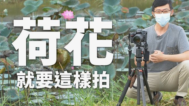拍拍贷快速提现指南