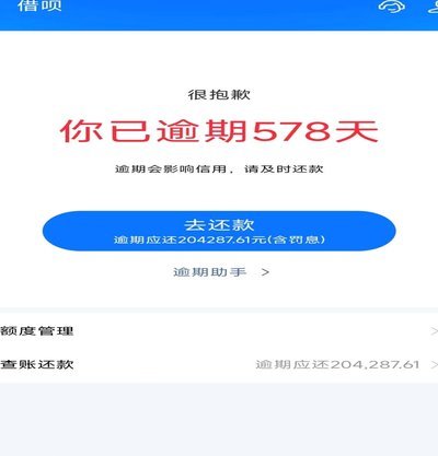 羊小咩偏重消费额度为何无借款选项？
