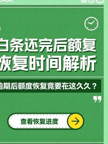 2025白条临时额度提升指南