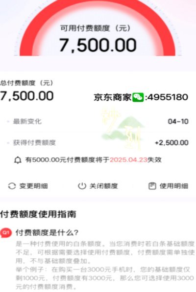 2025白条临时额度全攻略